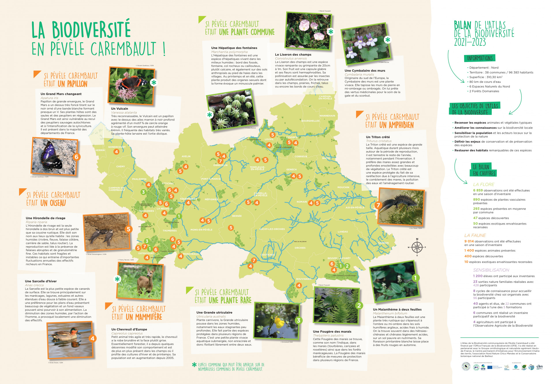 Fin de l'Atlas de la biodiversité communautaire | CC Pévèle Carembault
